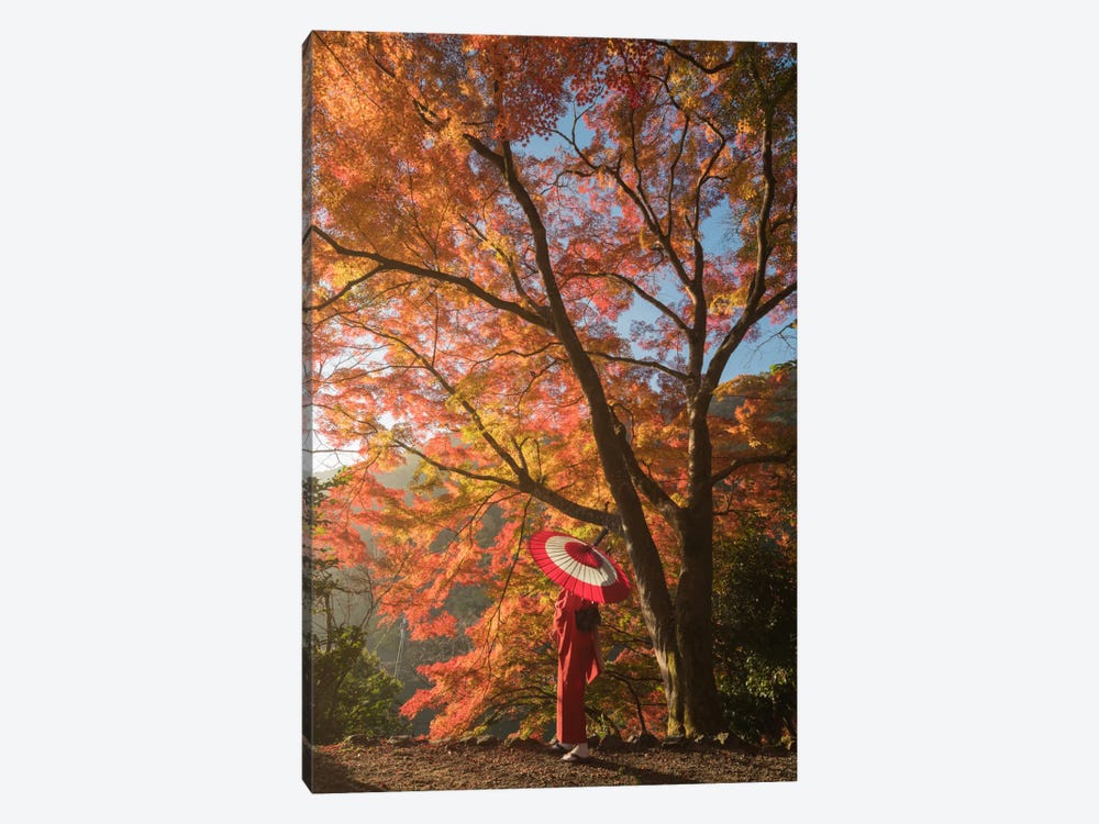 Autumn In Japan VI by Daniel Kordan 1-piece Canvas Wall Art