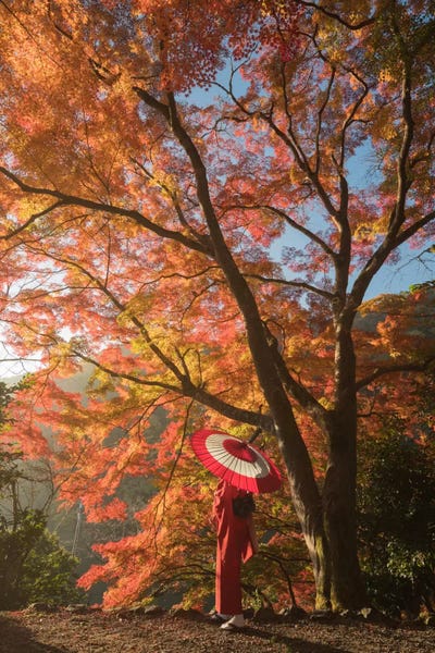 Daniel Kordan: Autumn In Japan VI by Daniel Kordan