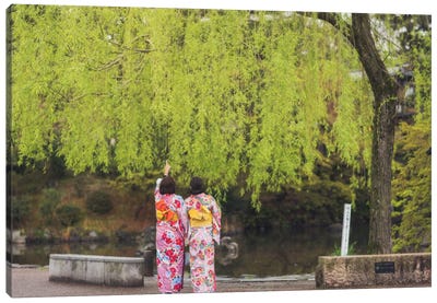 Spring In Japan XI Canvas Art Print - Willow Tree Art