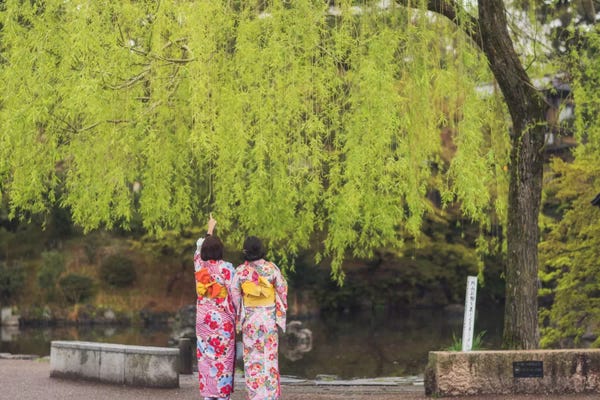 Willow Trees: Spring In Japan XI by Daniel Kordan