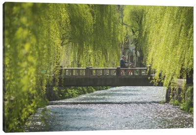 Spring In Japan XII Canvas Art Print - Willow Tree Art