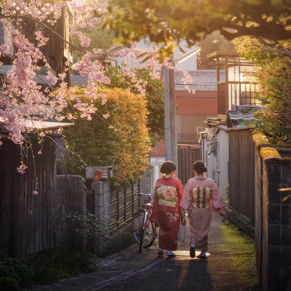 Daniel Kordan: Spring In Japan XIII by Daniel Kordan