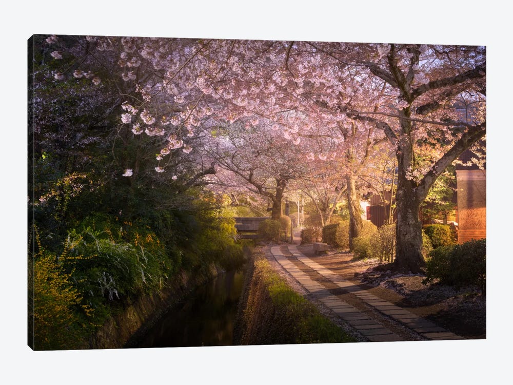 Spring In Japan XIV by Daniel Kordan 1-piece Canvas Art Print