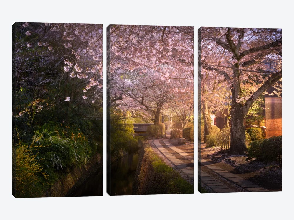 Spring In Japan XIV by Daniel Kordan 3-piece Art Print