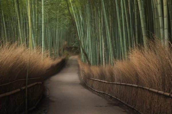 Daniel Kordan: Spring In Japan XVI by Daniel Kordan