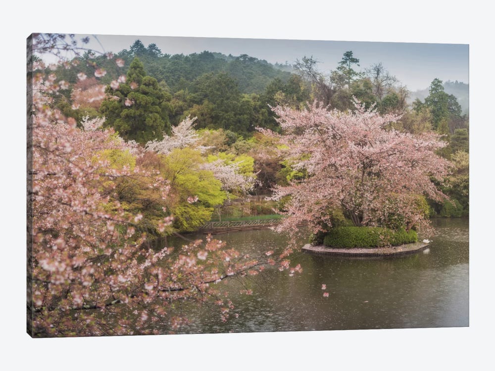 Spring In Japan XVII by Daniel Kordan 1-piece Canvas Art