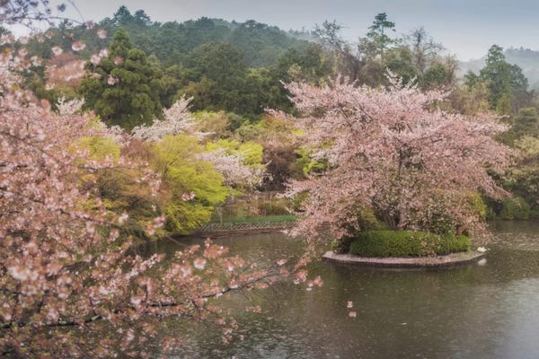 Daniel Kordan: Spring In Japan XVII by Daniel Kordan