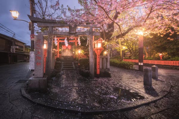 Daniel Kordan: Spring In Japan XVIII by Daniel Kordan