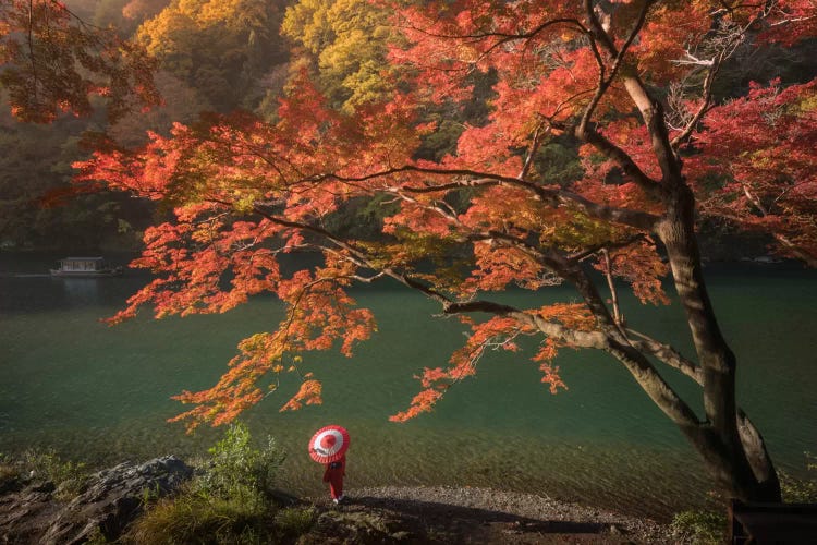 Autumn In Japan VII