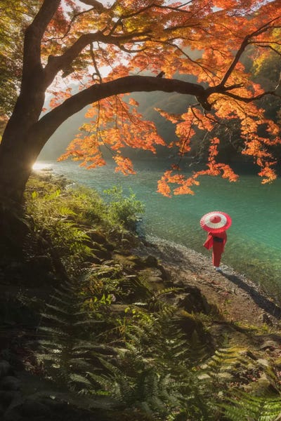 Autumn In Japan VIII by Daniel Kordan art print