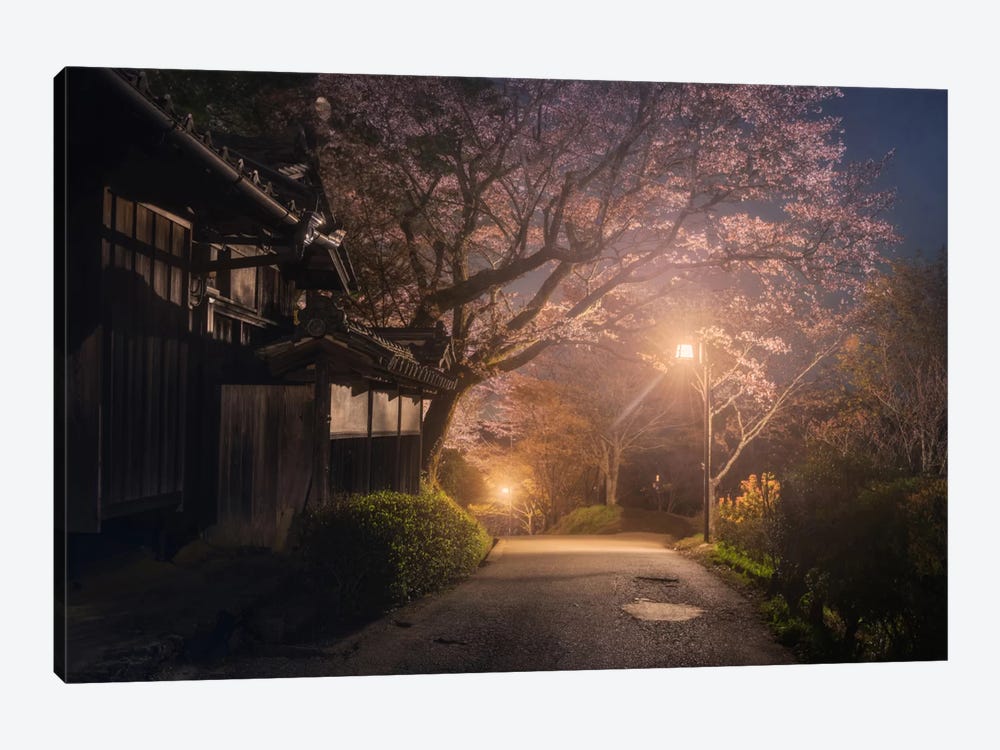 Spring In Japan XXI by Daniel Kordan 1-piece Art Print
