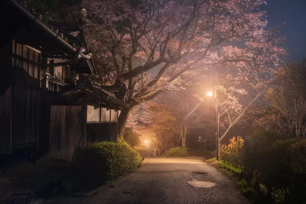 Daniel Kordan: Spring In Japan XXI by Daniel Kordan