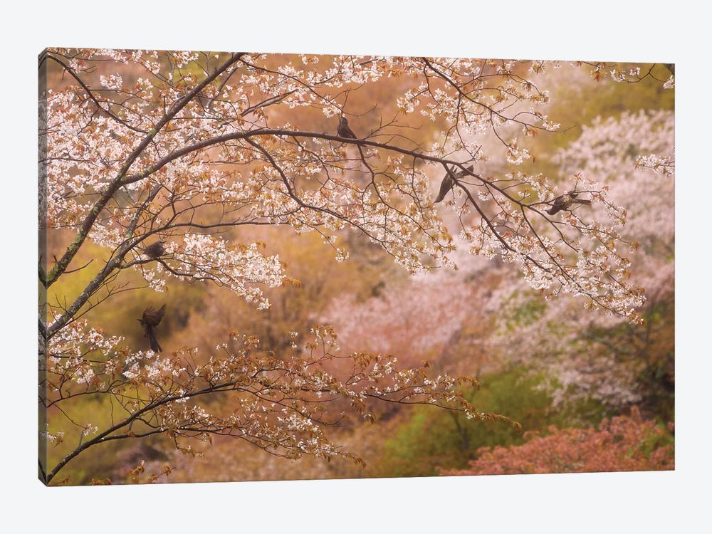 Spring In Japan XXII by Daniel Kordan 1-piece Canvas Art