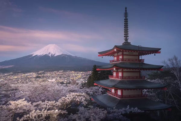 Daniel Kordan: Spring In Japan XXIII by Daniel Kordan