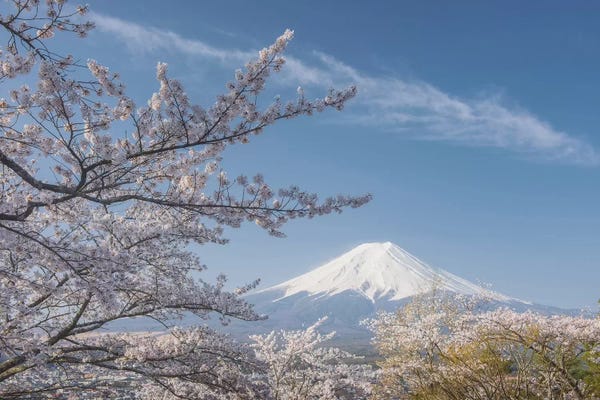 Daniel Kordan: Spring In Japan XXV by Daniel Kordan