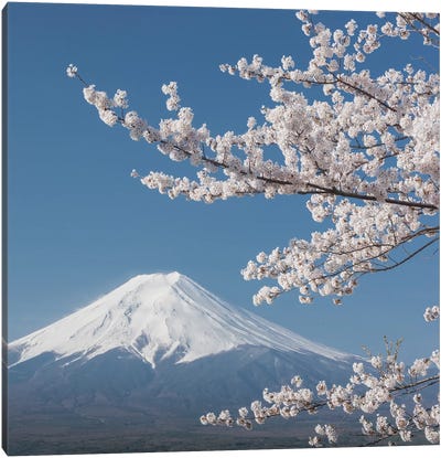 Spring In Japan XXVI Canvas Art Print - Volcano Art