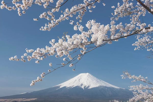 Daniel Kordan: Spring In Japan XXVII by Daniel Kordan