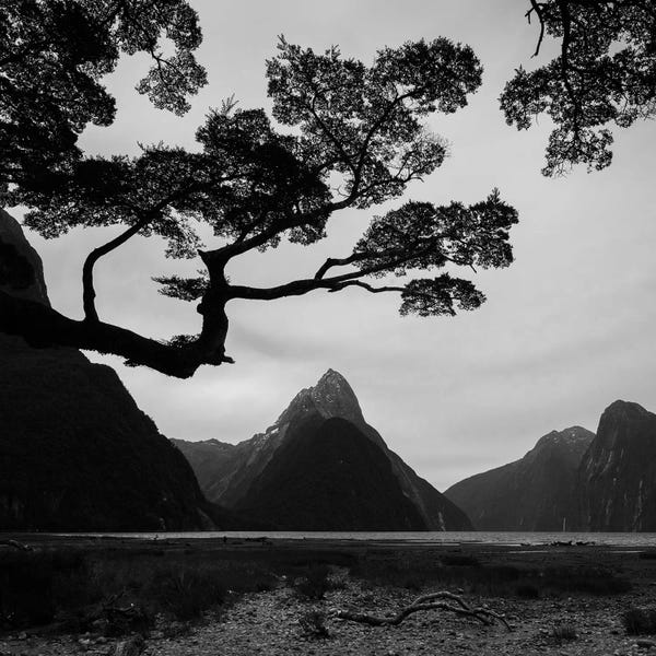 Daniel Kordan: Spring In New Zealand I by Daniel Kordan