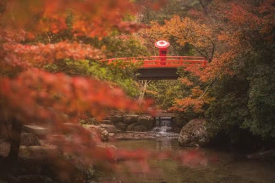 Autumn In Japan IX by Daniel Kordan art print