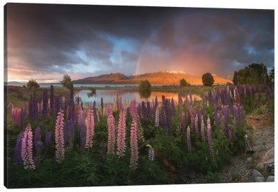 Spring In New Zealand VI Canvas Art Print - Garden & Floral Landscape Art