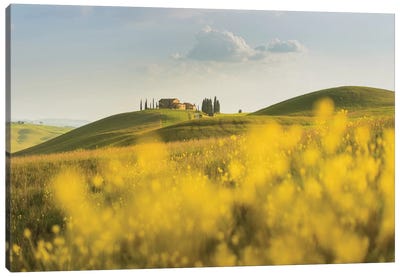 Spring In Tuscany II Canvas Art Print - Daniel Kordan