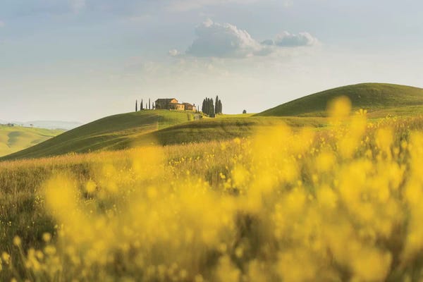 Daniel Kordan: Spring In Tuscany II by Daniel Kordan