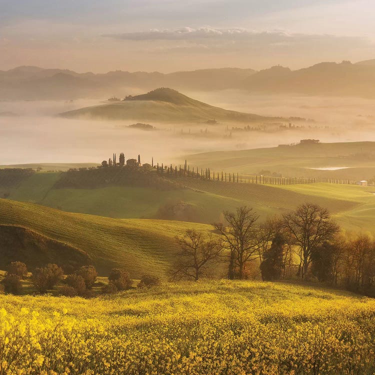 Spring In Tuscany III