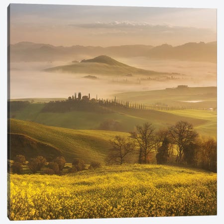 Spring In Tuscany III Canvas Print #KRD99} by Daniel Kordan Canvas Art Print