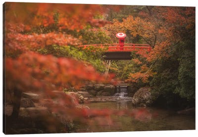 Autumn In Japan IX Canvas Art Print - Daniel Kordan