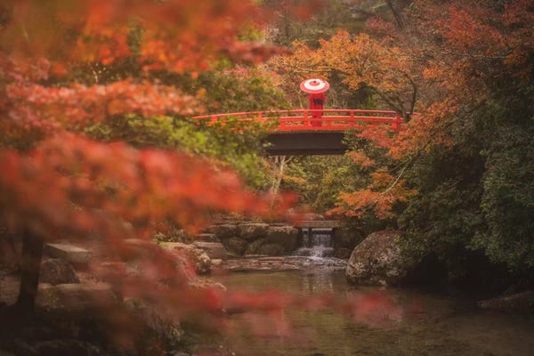 Daniel Kordan: Autumn In Japan IX by Daniel Kordan