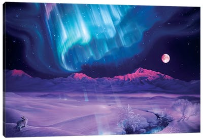 Snowfield Illumination Canvas Art Print - Aurora Borealis Art