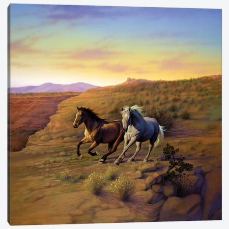 Western Skies Canvas Print #KRE125} by Kirk Reinert Canvas Artwork