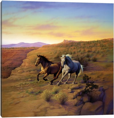 Western Skies Canvas Art Print - Kirk Reinert
