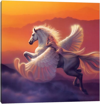 Wings Of A Dream Canvas Art Print - Pegasus Art