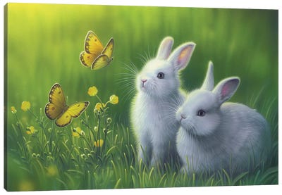 Buttercups Canvas Art Print - Rabbit Art