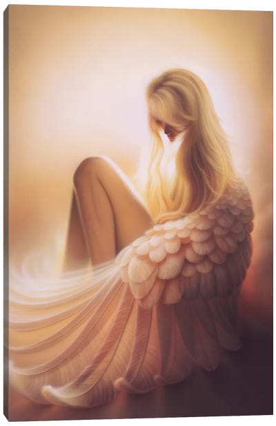 Angelic Canvas Art Print - Wings Art