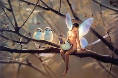 Feathered Friends, Day by Kirk Reinert art print