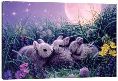 Moon Babies Canvas Art Print - Rabbit Art