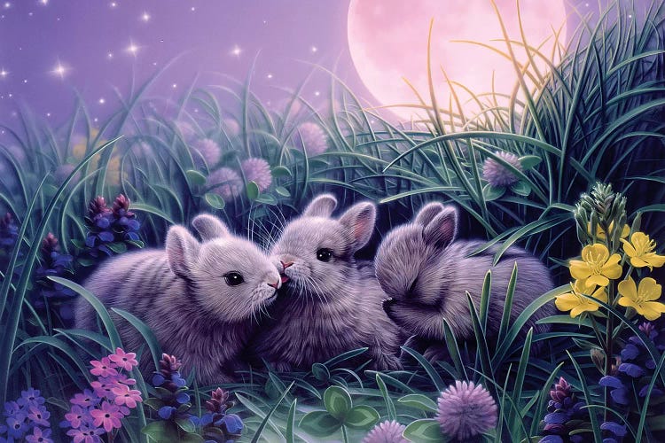 Moon Babies