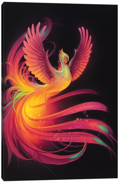 Phoenix Canvas Art Print - Kirk Reinert