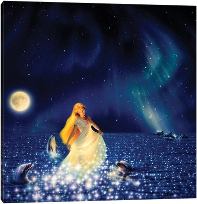 Sea Of Stars Canvas Art Print - Dolphin Art