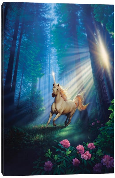 Secret Forest Canvas Art Print - Unicorn Art