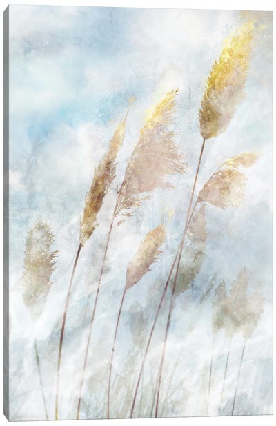 Reed Field II Canvas Art Print - Grass Art