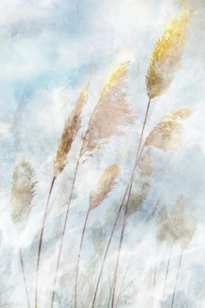 Grasses: Reed Field II by Ken Roko