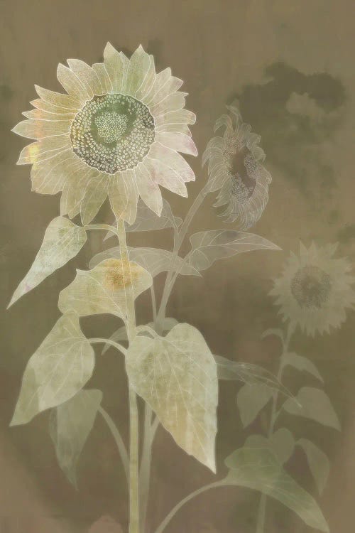 Sunflower Shine I by Ken Roko wall art