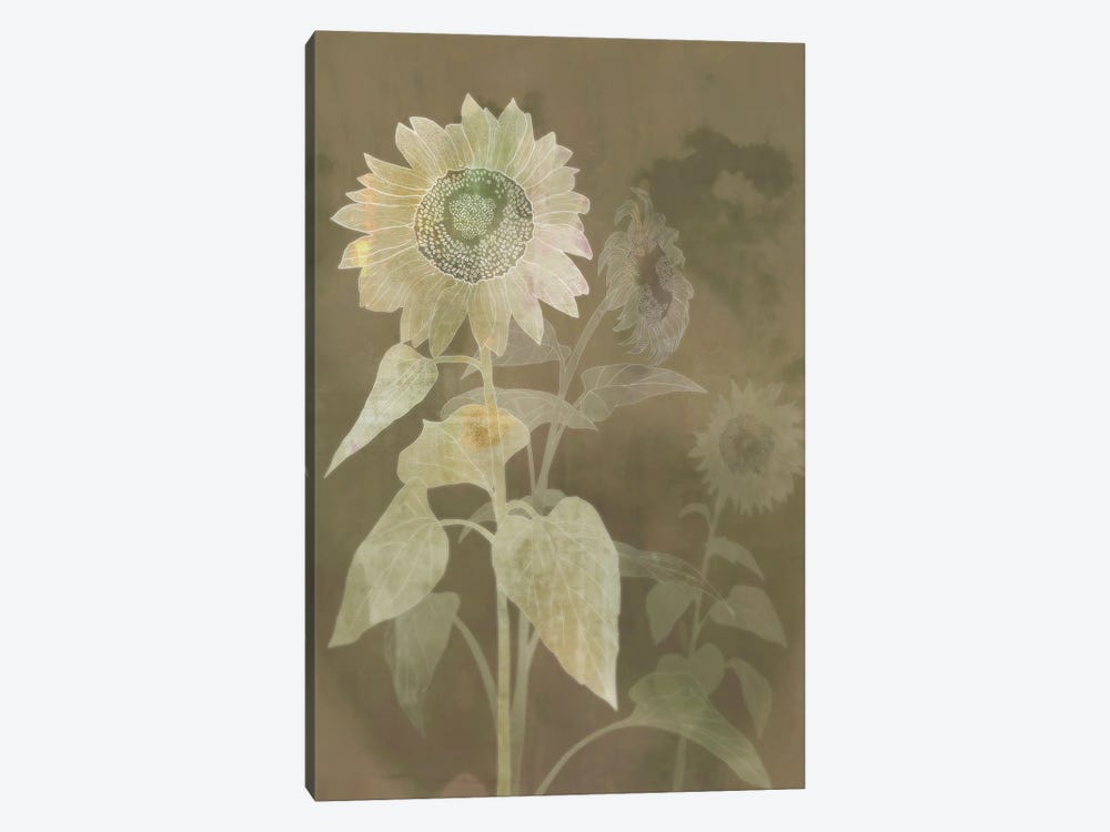 Sunflower Shine I by Ken Roko 1-piece Art Print