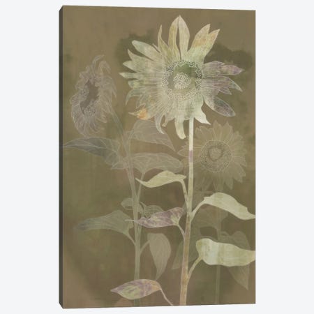 Sunflower Shine II Canvas Print #KRK92} by Ken Roko Canvas Artwork