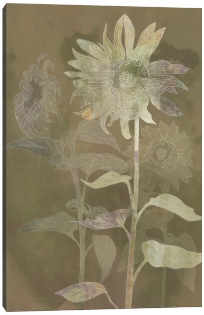 Sunflower Shine II Canvas Art Print - Brown