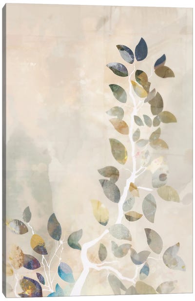 Maple Canopy II Canvas Art Print - Leaf Art