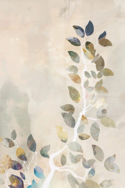 Maple Canopy II